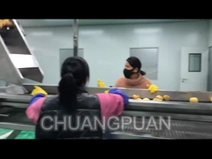 Bagaimana jus buah diproduksi di pabrik?Mari kita lihat jalur pengolahan jus pir bekerja