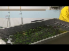 Bagaimana cara mengolah HPP atau pulp alpukat dingin?