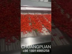 Apakah Anda tahu bagaimana jus sea buckthorn diproduksi? mari kita lihat bersama-sama