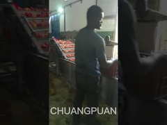 Mari kita pergi dan melihat jalur produksi pasta tomat jenis menengah di Afrika bekerja